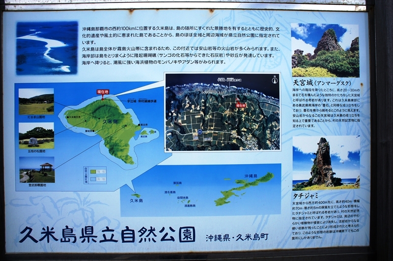 DSC02588_R