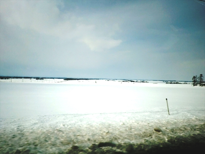 CIMG0241_R