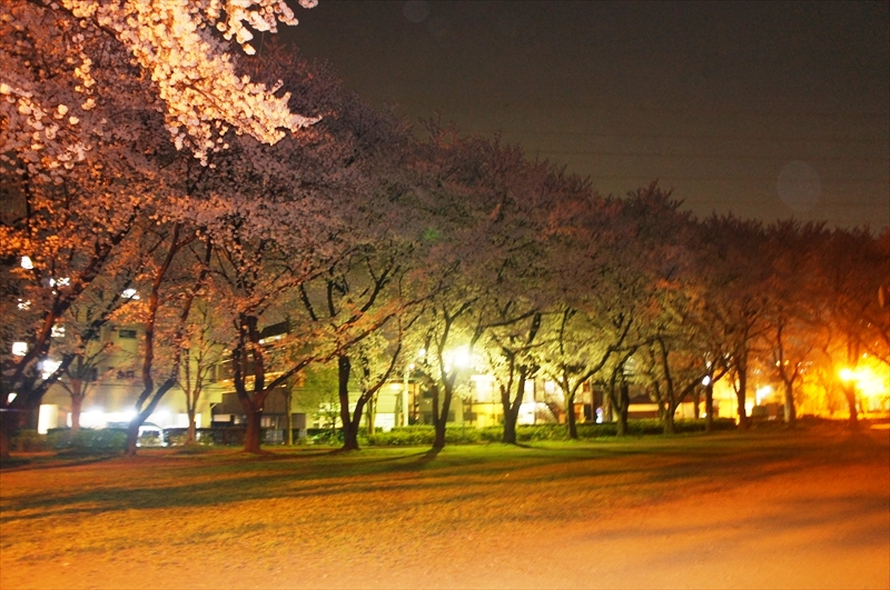 DSC01235_R