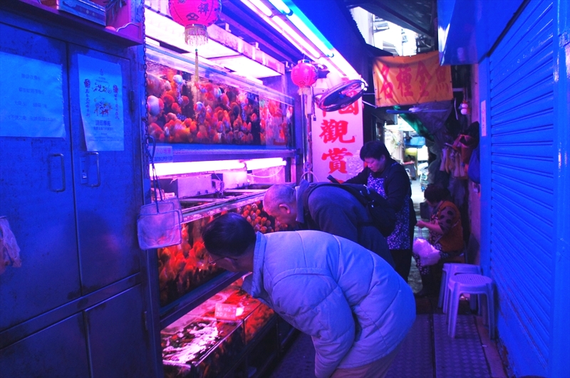DSC00847_R