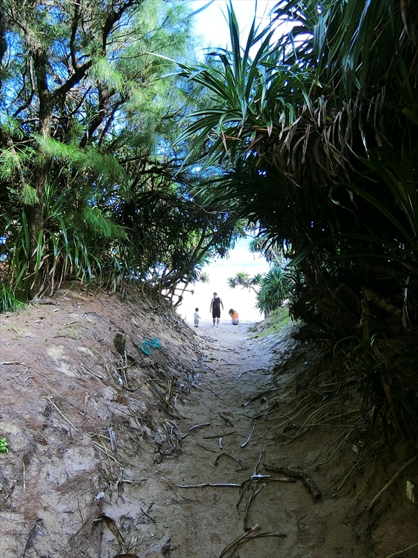 CIMG3789_R