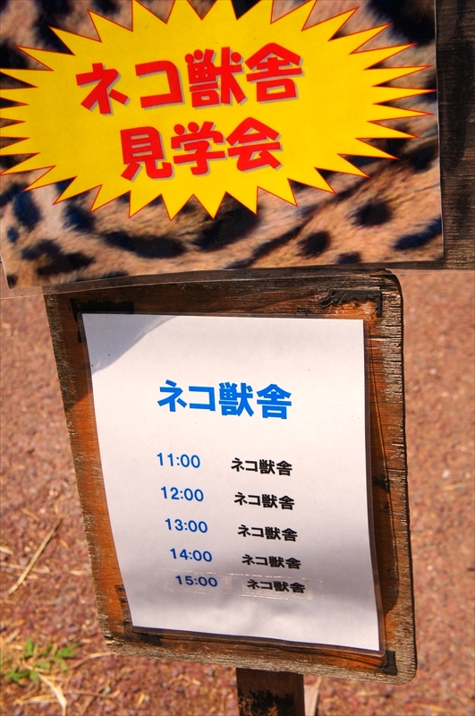 DSC08578_R