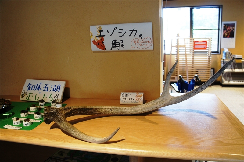 DSC01049_R