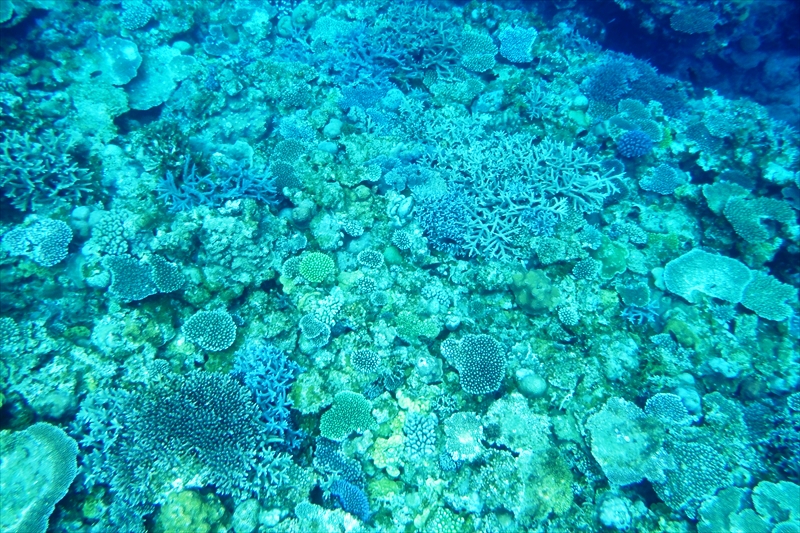 R0016993_R