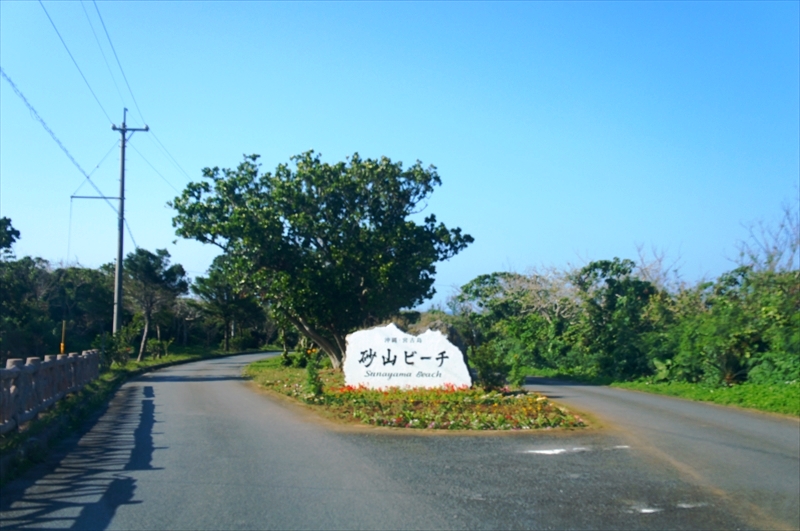 DSC01339_R