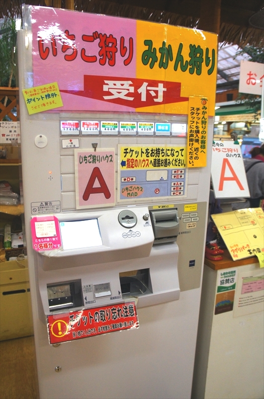 DSC00558_R