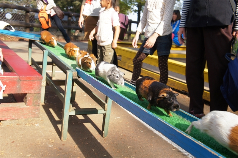 DSC01251_R