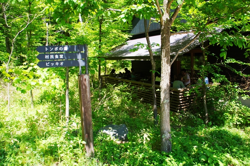 DSC08883_R