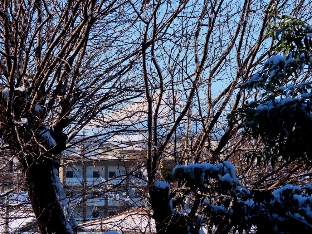IMG_9985_R
