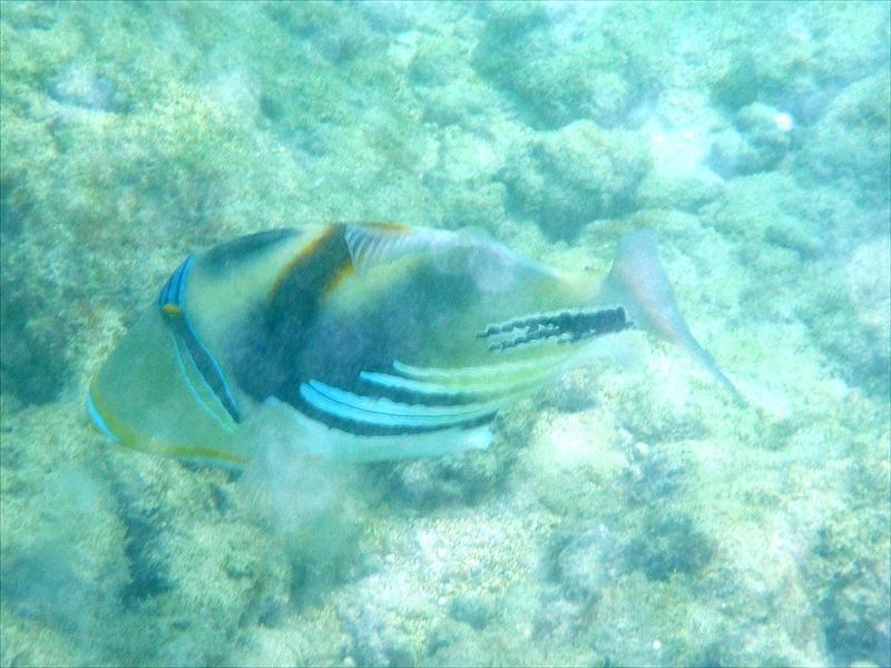 P1020076_R