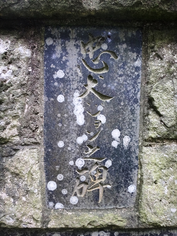 DSC06007_R
