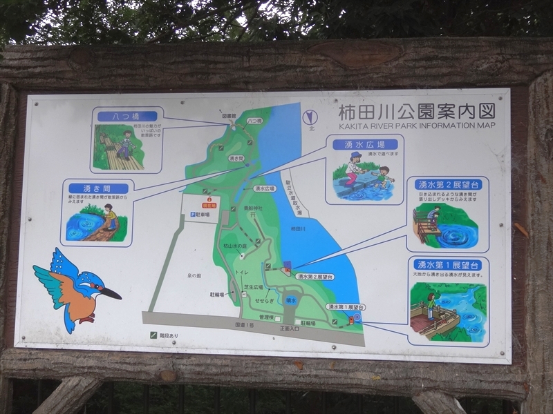 DSC06728_R