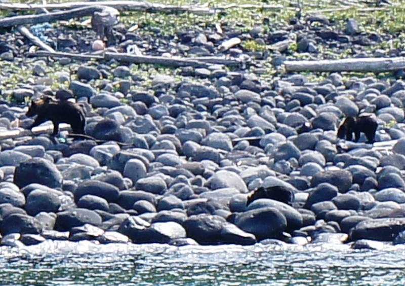 DSC00590_R