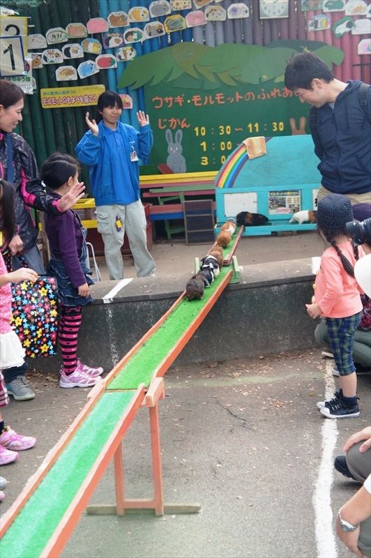DSC01253_R
