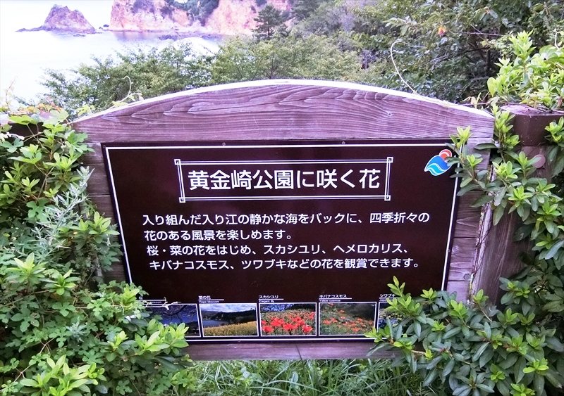 CIMG1577_R