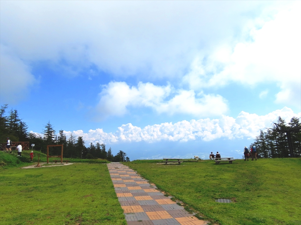 IMG_6467_R