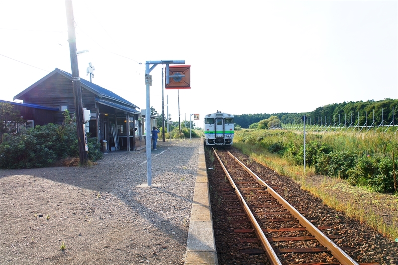DSC00337_R