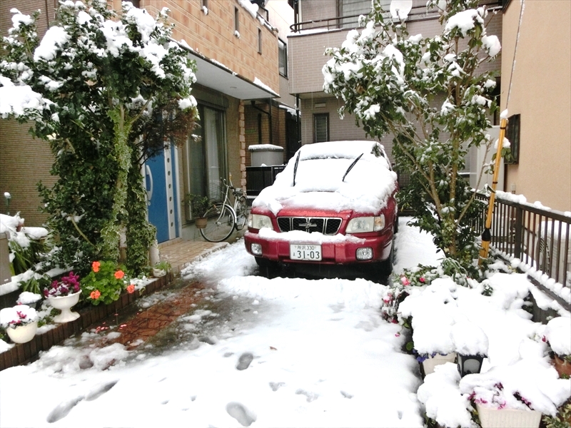 CIMG9192_R