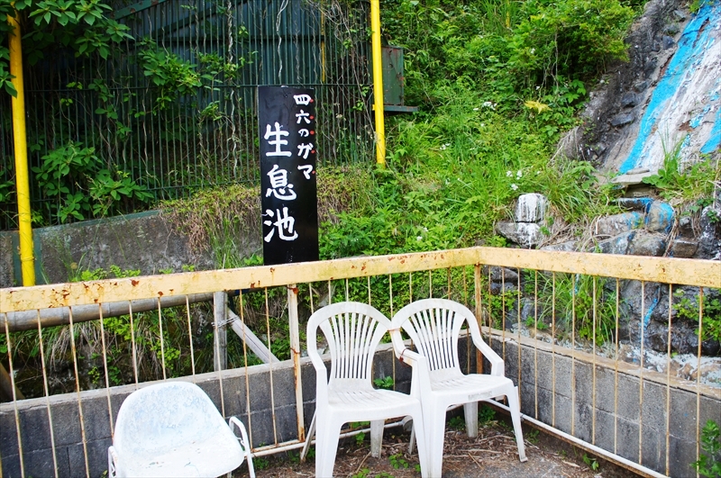 DSC04404_R