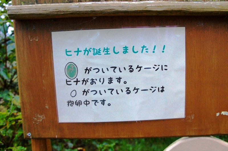 DSC00649_R