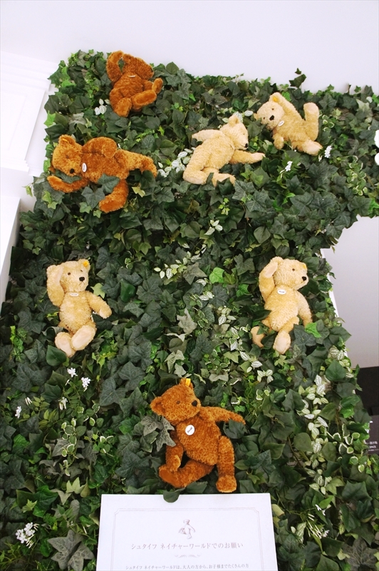 DSC00075_R