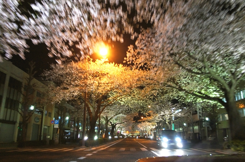 DSC04171_R