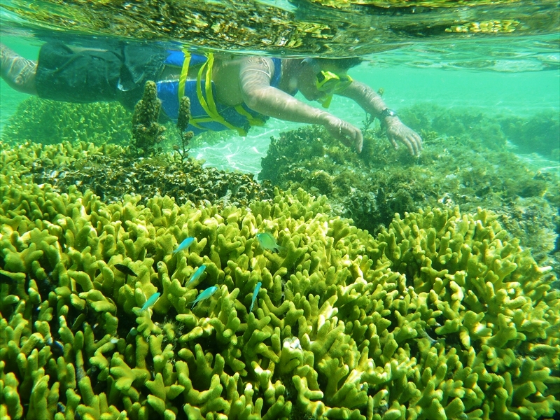 P1050184_R