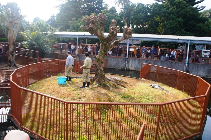 DSC00042_R