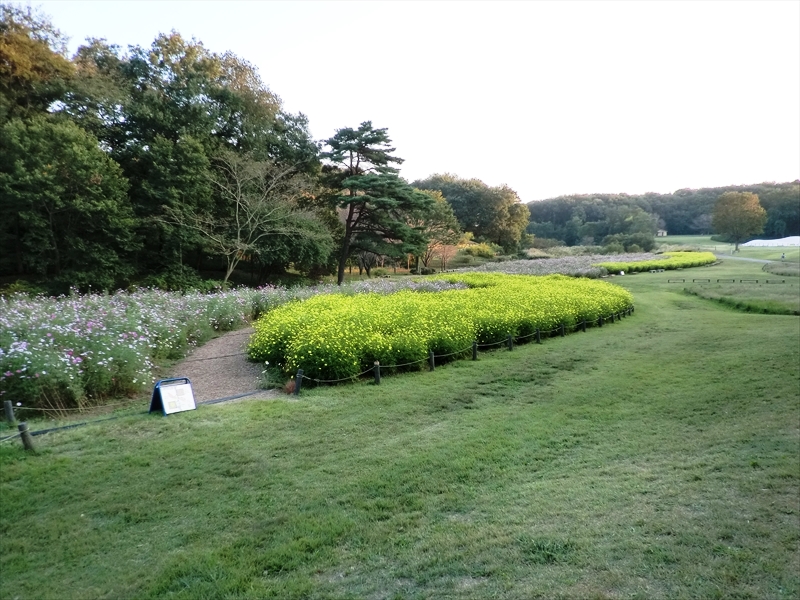 CIMG5389_R