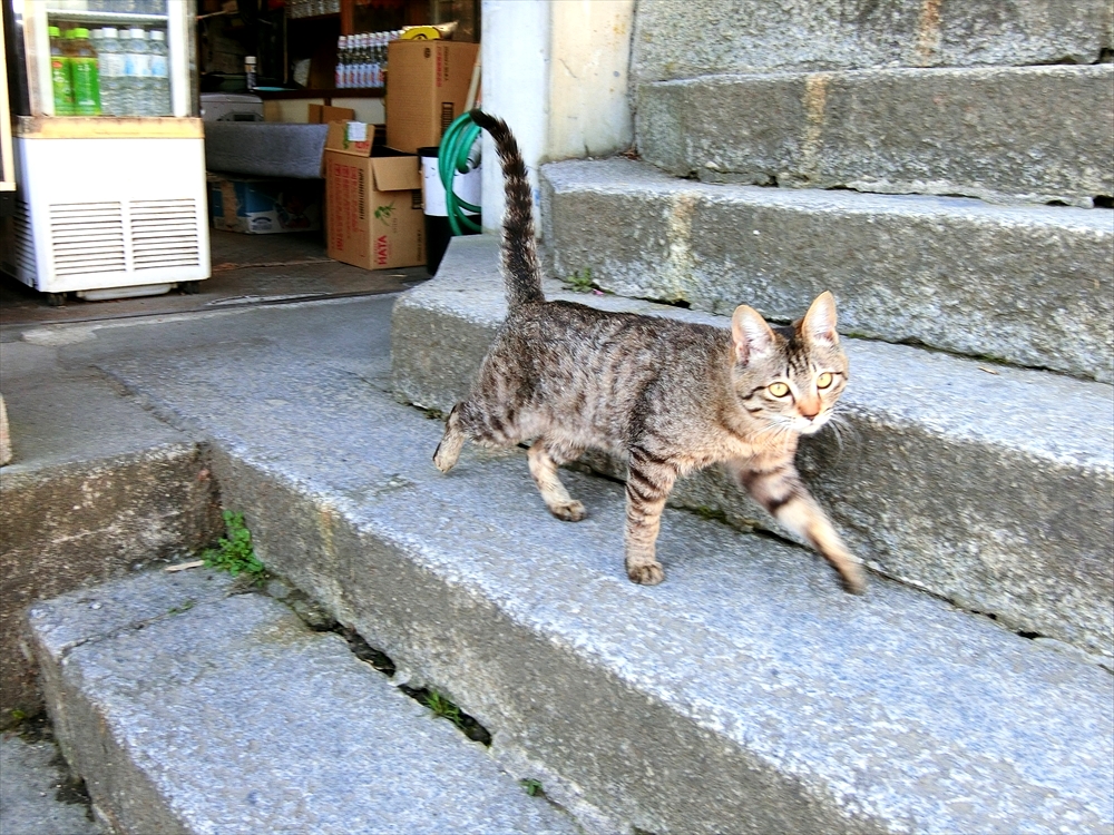 CIMG9163_R