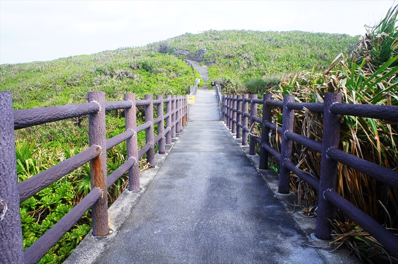 DSC00380_R