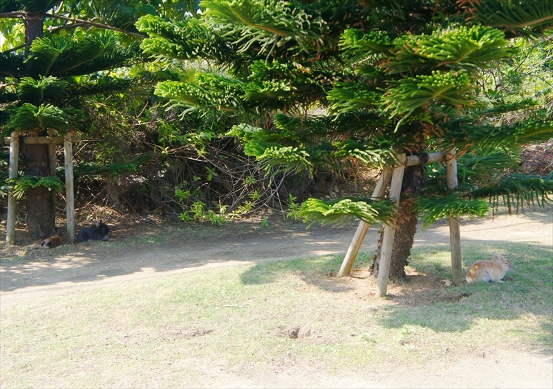 DSC01158_R