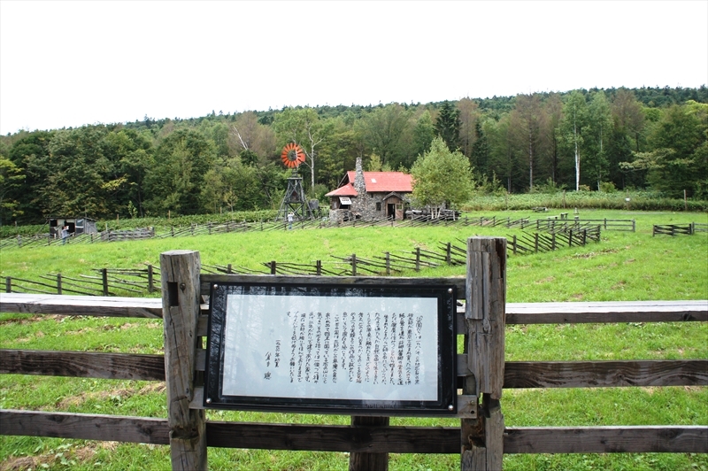 DSC00842_R