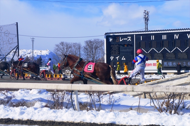 DSC00203_R