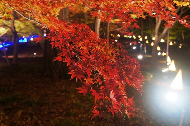 DSC02152_R