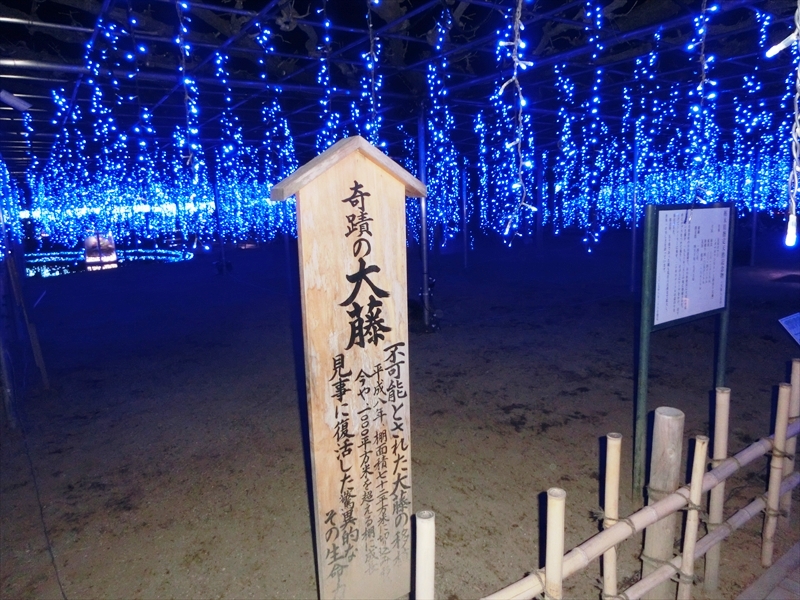 CIMG1555_R