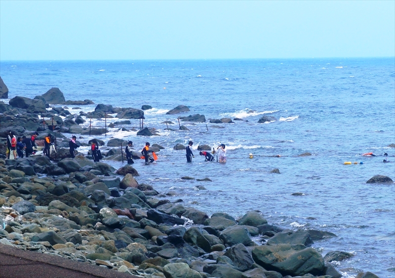 DSC03081_R