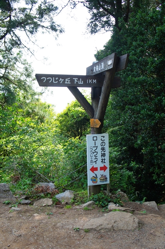 DSC04382_R