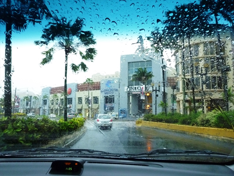 P1000810_R