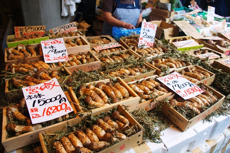 DSC00536_R