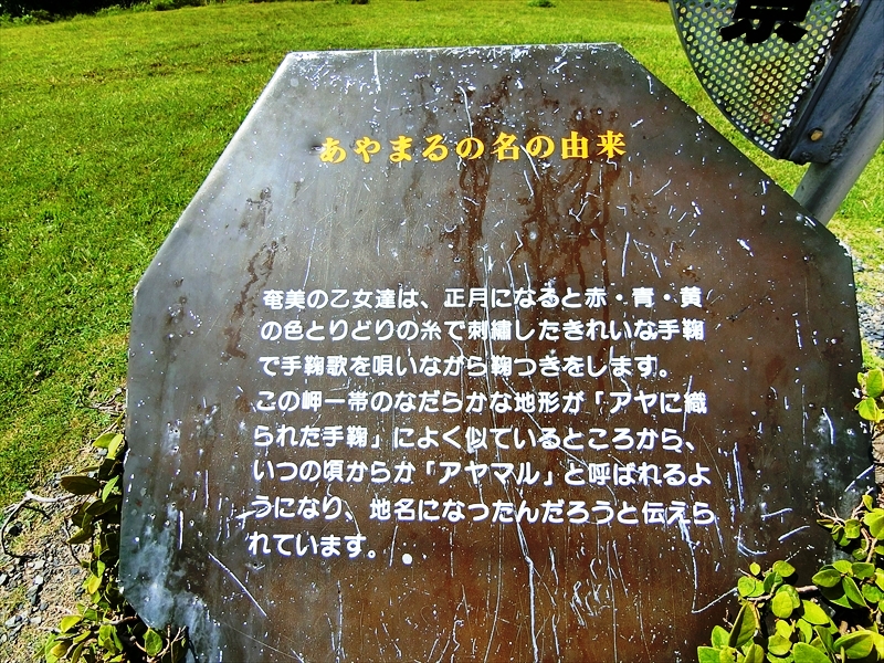 CIMG3734_R