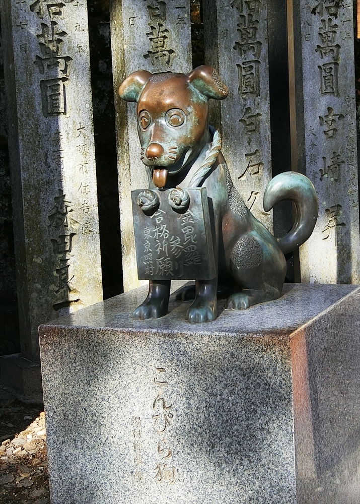 CIMG9194_R