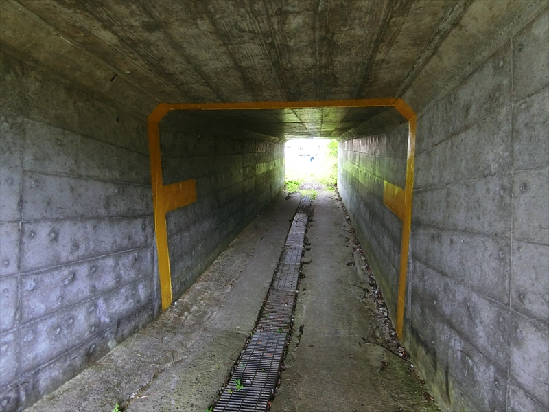 CIMG3241_R