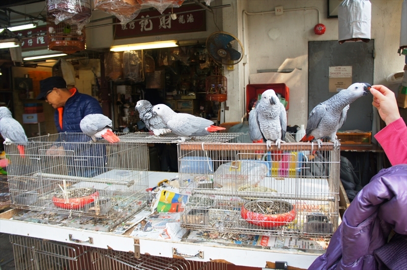 DSC00797_R