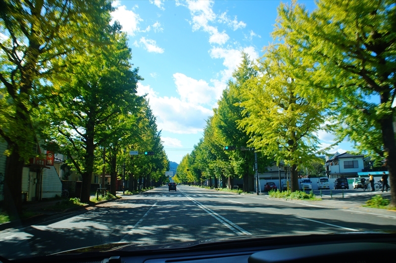 DSC00937_R