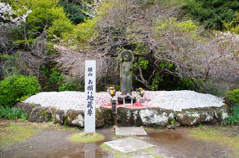 DSC01473_R