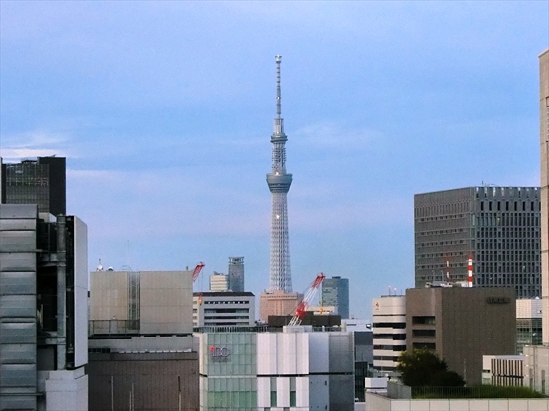 CIMG1465_R