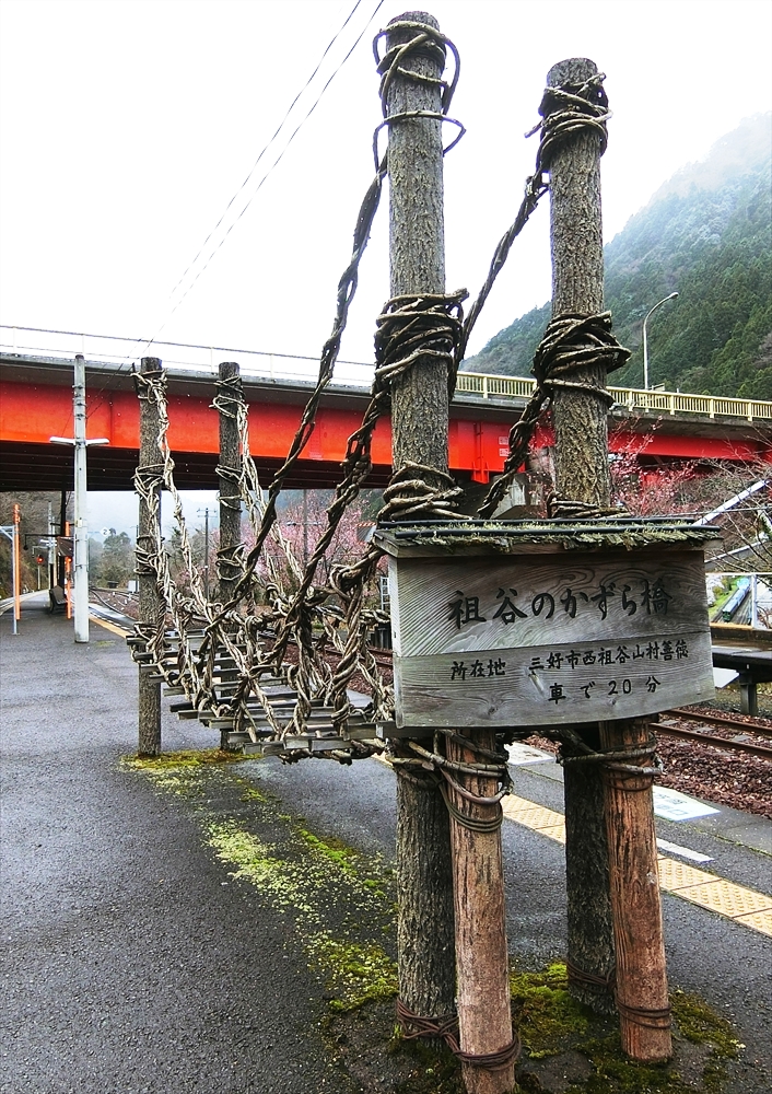 CIMG8821_R