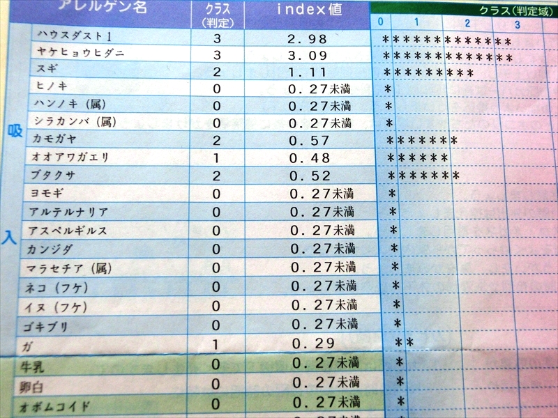 CIMG9774_R