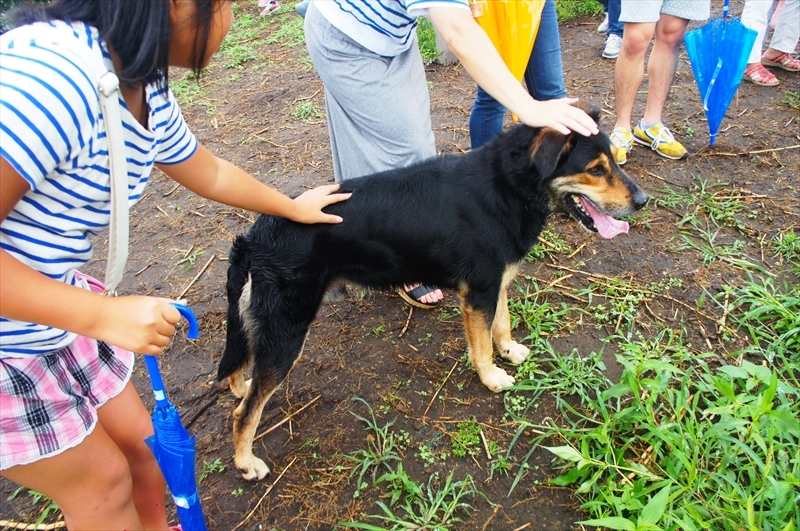 DSC02095_R